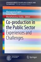 Co-production in the Public Sector: Experiences and Challenges