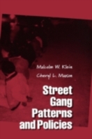 Street Gang Patterns and Policies (PDF eBook)